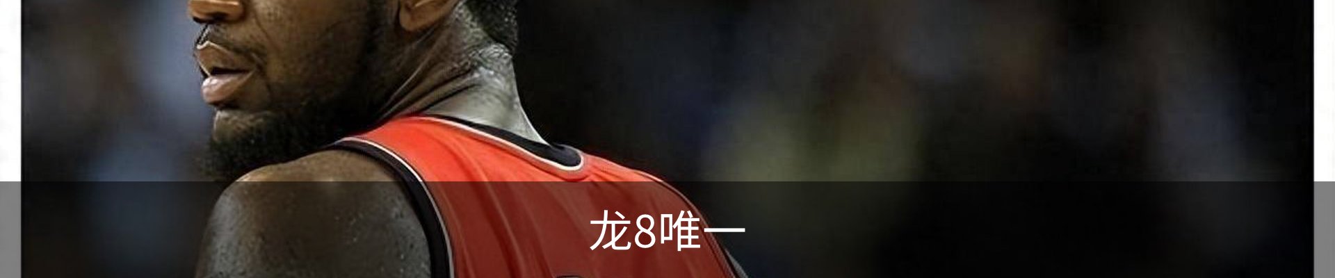 龙8唯一